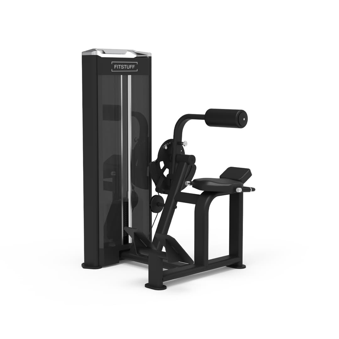 biceps-triceps-1-5bc